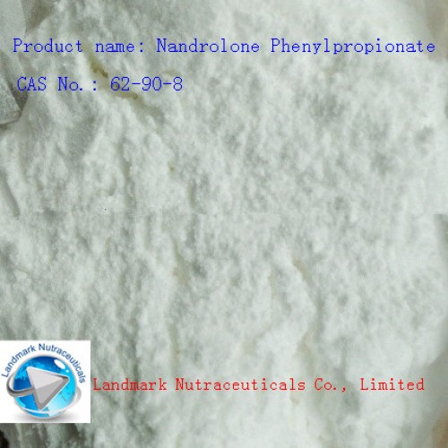 Steroid nandrolone phenylpropionate